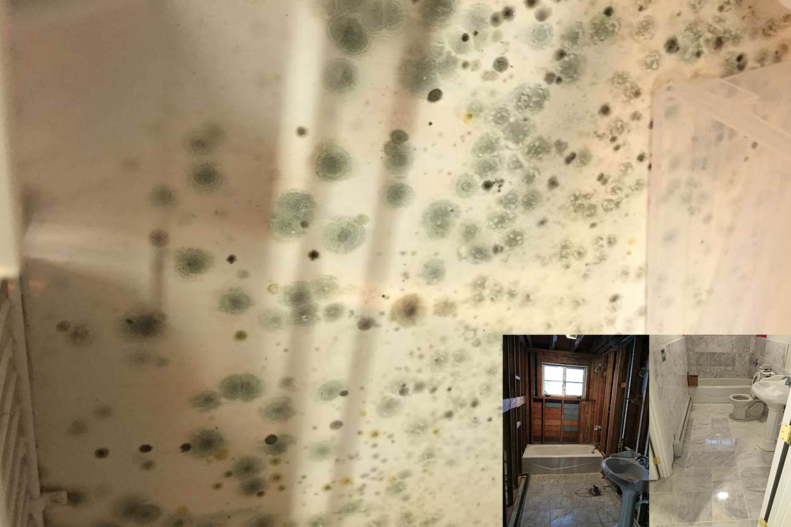 Mold